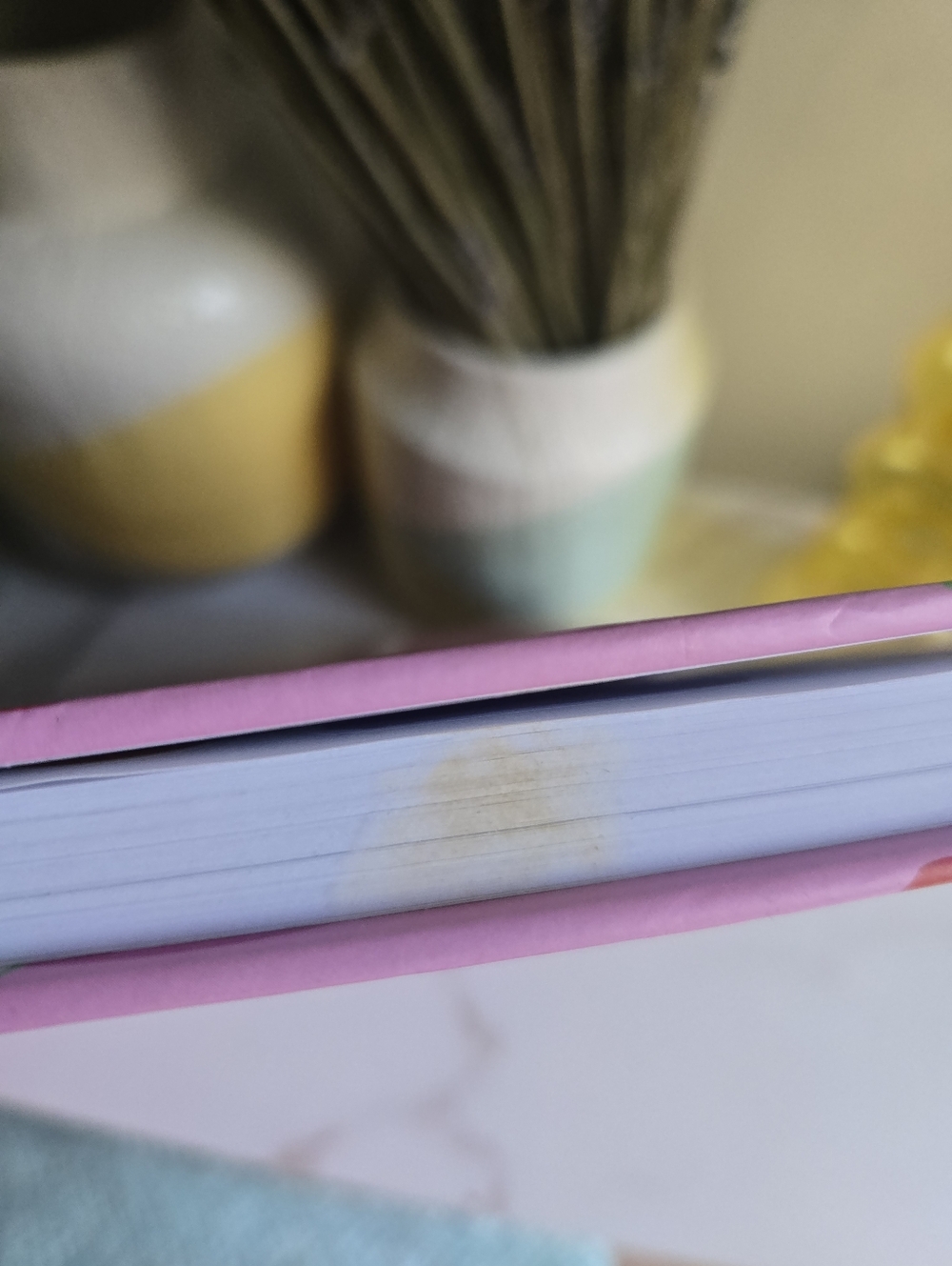 NEW Betsey Johnson Pink Candy Print Spiral Hardcover Sketchbook - Picture 6 of 9